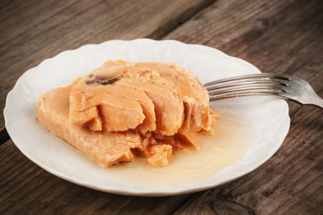 Canned Salmon Fish