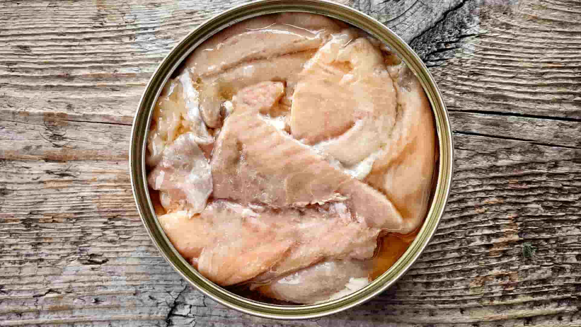 canned-salmon-fish