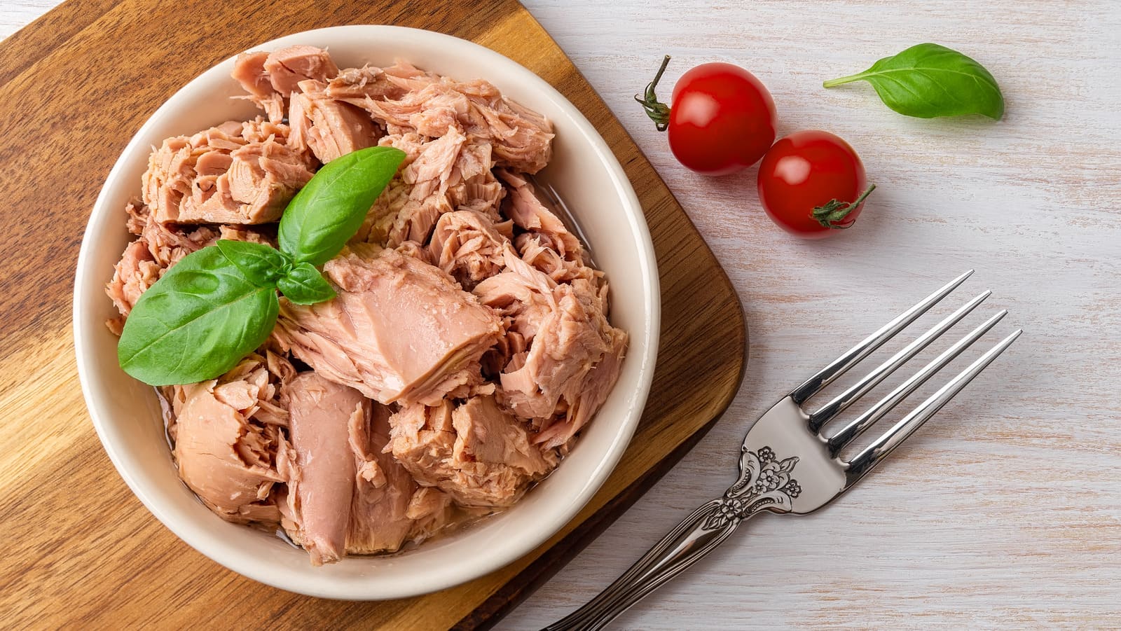Canned Tuna Fish Recipes