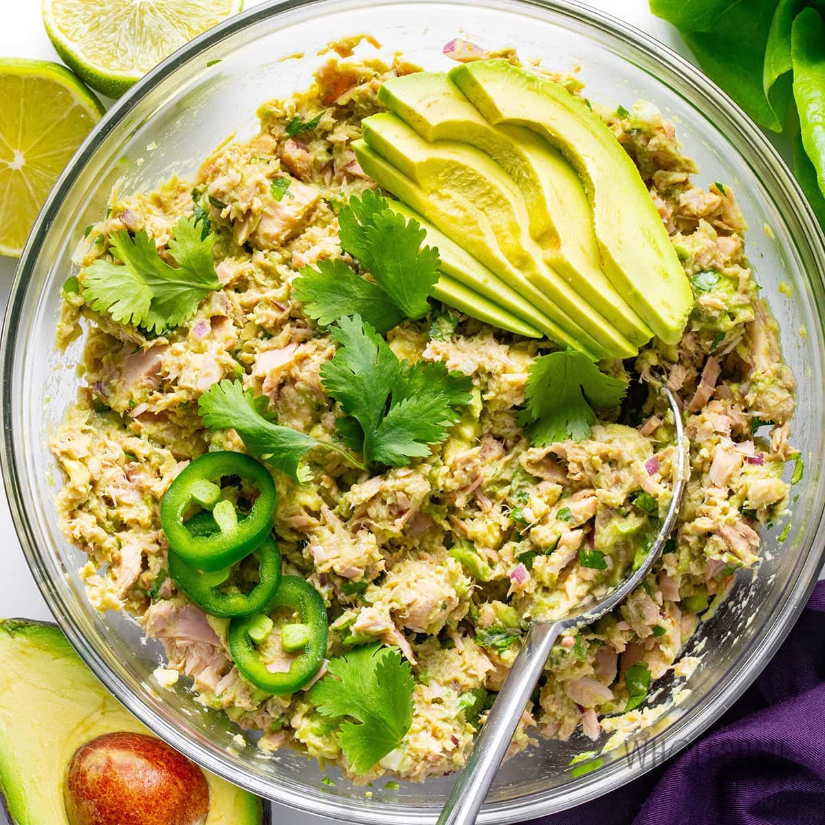 Canned Tuna Fish Recipes